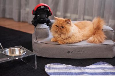 هتل پولمان ساو پاولو ایبیراپورا