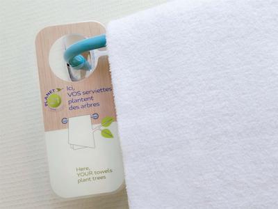 ایبیز بوجت ساو پاولو پاریسُ