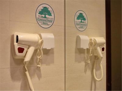 گرین تری این بیجینگ کپیتال ایرپورت نیو اینترنشنال اکسهیبیشن سابوی استیشن اکسپرس هتل