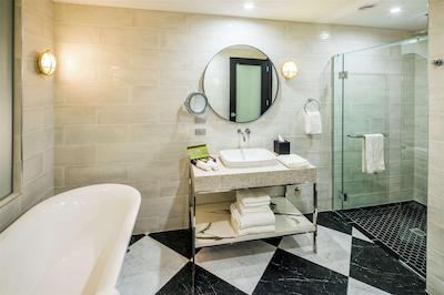 دوبلتری بای هیلتون ولینگتون