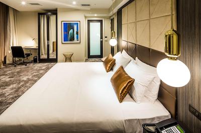 دوبلتری بای هیلتون ولینگتون