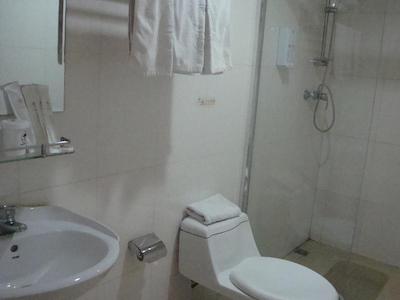 گرین تری این بیجینگ هوهای اکسپرس هتل