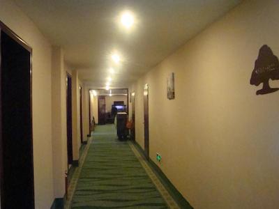 گرین تری این بیجینگ هوهای اکسپرس هتل