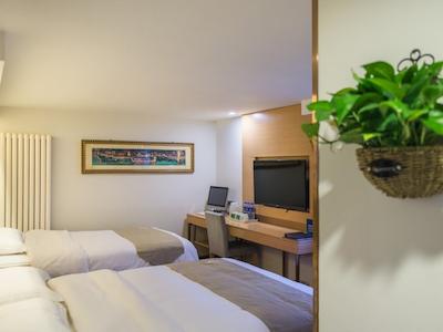 گرین تری این بیجینگ هوهای اکسپرس هتل