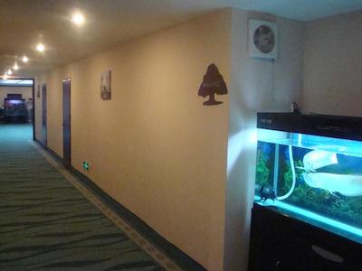 گرین تری این بیجینگ هوهای اکسپرس هتل