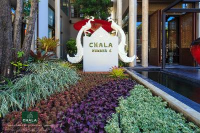 چالا نومبر 6