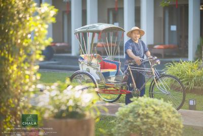 چالا نومبر 6