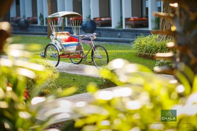 چالا نومبر 6