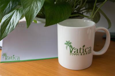 واتیکا شانگهای اینترنشنال توریسم ریزورت لوشان رود سابوی استیشن هتل