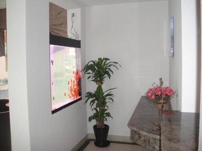 گرین تری این شانگهای جوپو تاون شوپو رود هتل