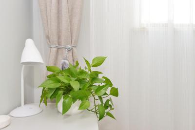 شانگهای کن ویلیج آرتیستیک هتل