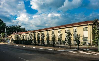 ماتیز بارو جرالدو