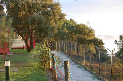 اُربیتور منتارجیل