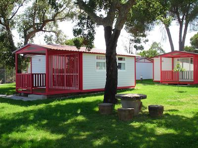 اُربیتور منتارجیل