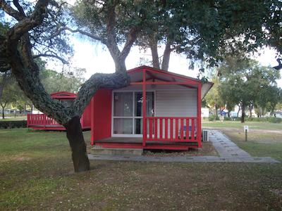 اُربیتور منتارجیل