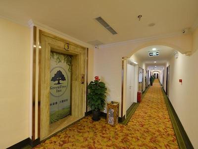 گرین تری این بیجینگ هایدیان دیستریکت