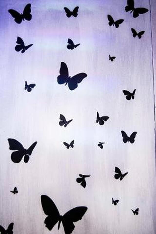 هتل بوتیک دومو