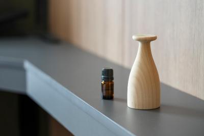 میتسوی گاردن هتل اُتماچی