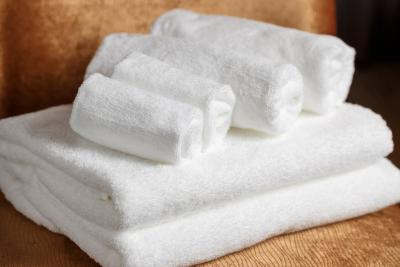 میتسوی گاردن هتل اُتماچی