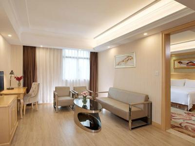 وینا هتل شنزهن ایست ریلو استیشن