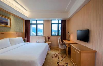 وینا هتل شنزهن ایست ریلو استیشن