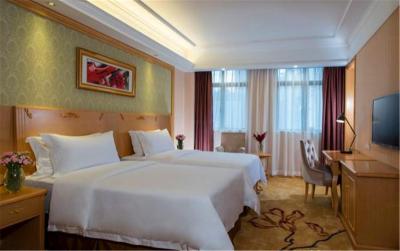 وینا هتل شنزهن ایست ریلو استیشن