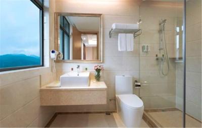 وینا هتل شنزهن ایست ریلو استیشن