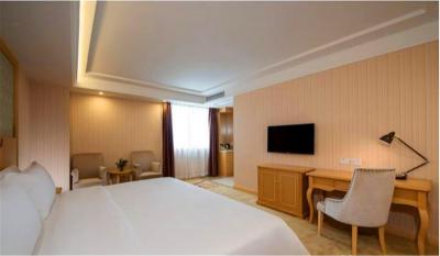 وینا هتل شنزهن ایست ریلو استیشن