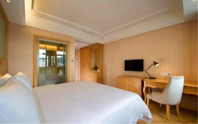 وینا هتل شنزهن ایست ریلو استیشن