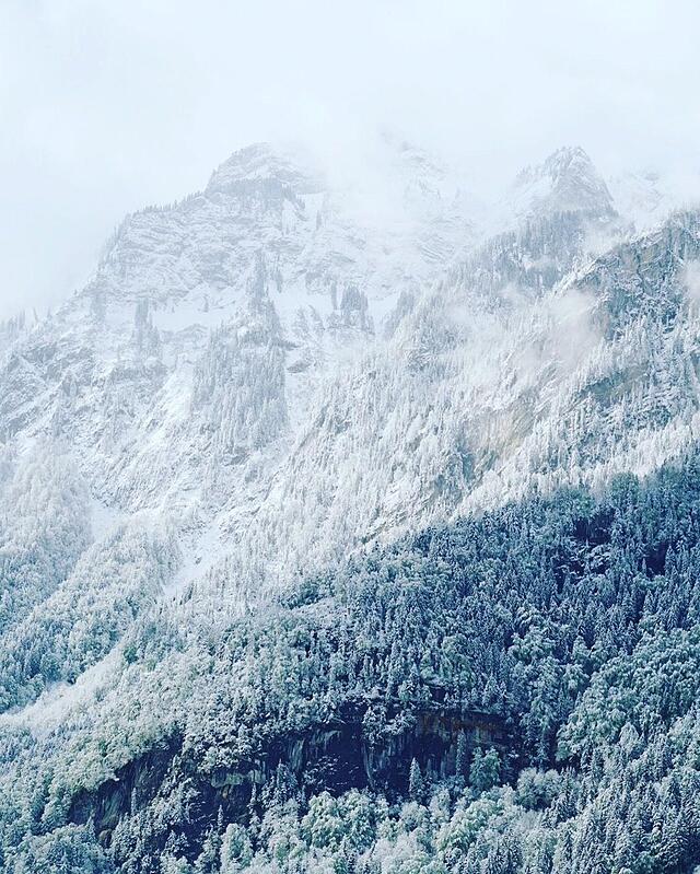 آلپنرس