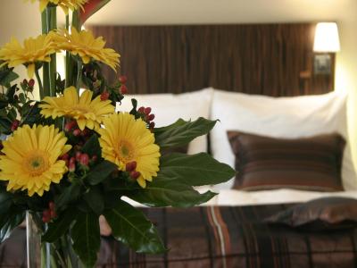 ای هتل کریستال پالاس