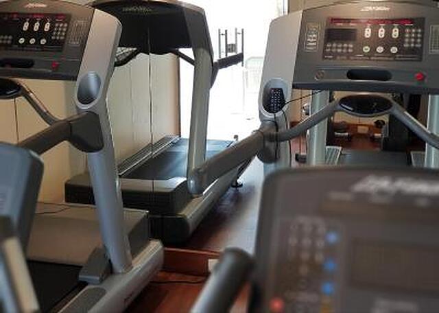 ویندسُر مارتینیک