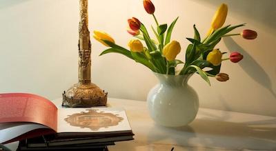 پالازو کاروسُ