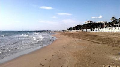 کارنا گاردن