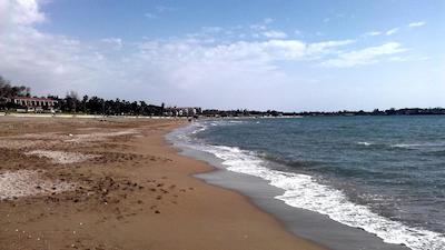 کارنا گاردن