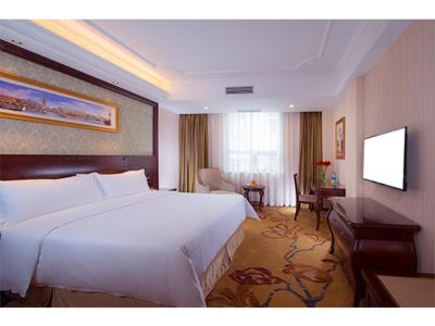 وینا اینترنشنال هتل شانگهای نانشیانگ اینترنشنال اکسپو سنتر