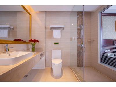 وینا اینترنشنال هتل شانگهای نانشیانگ اینترنشنال اکسپو سنتر