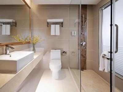 وینا اینترنشنال هتل شانگهای نانشیانگ اینترنشنال اکسپو سنتر