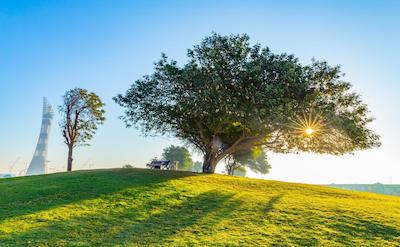 مروب هتل ال ساد