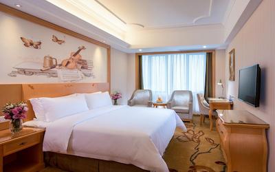 وینا هتل شنزهن شاجینگ سنتر راد برانچ