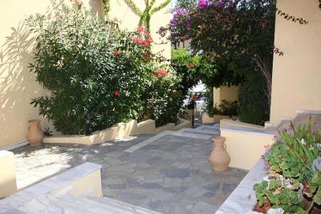 آلکساندر هوس