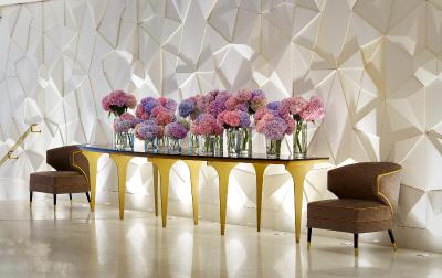 د الکساندر ای لاکچری کالکشن هتل