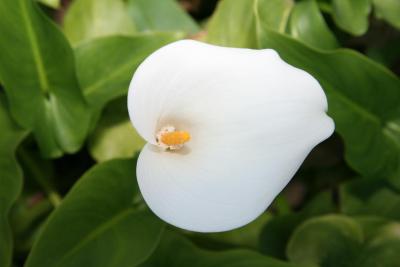 ماریرنا هتل