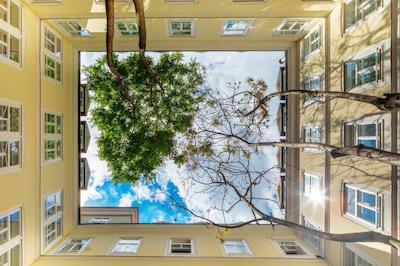 د لوانت لاودن