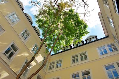 د لوانت لاودن