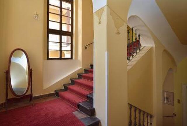متامرفیز