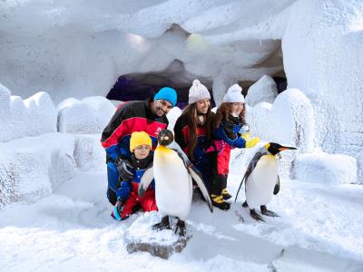 کمپینسکی هتل مال آف د امارات دبی