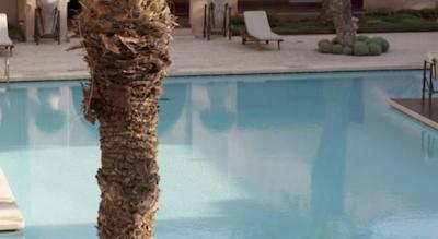 هتل تیکیدا گولف پالاس