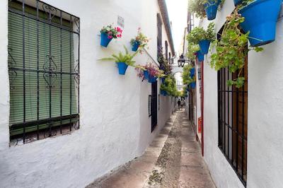 نه کالکشن امیستاد کردبا