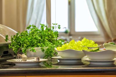 مینروا پرمیر